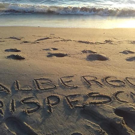 Hotel B&B Rispescia Grosseto 外观 照片