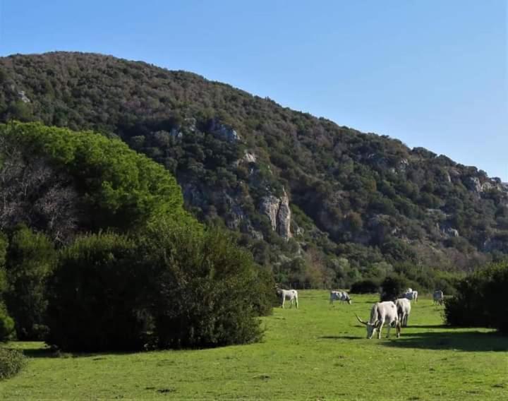 Hotel B&B Rispescia Grosseto 外观 照片