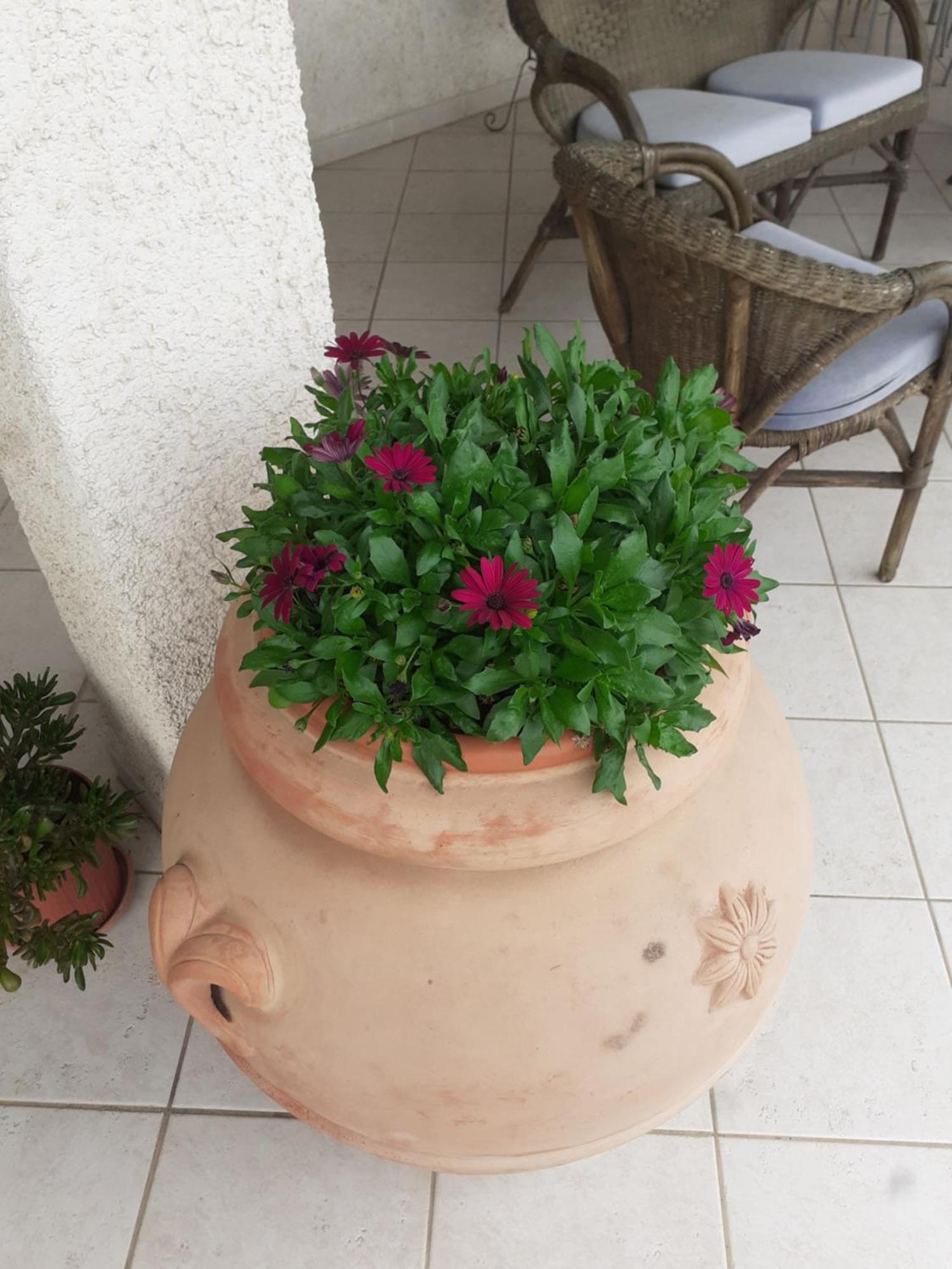 Hotel B&B Rispescia Grosseto 外观 照片