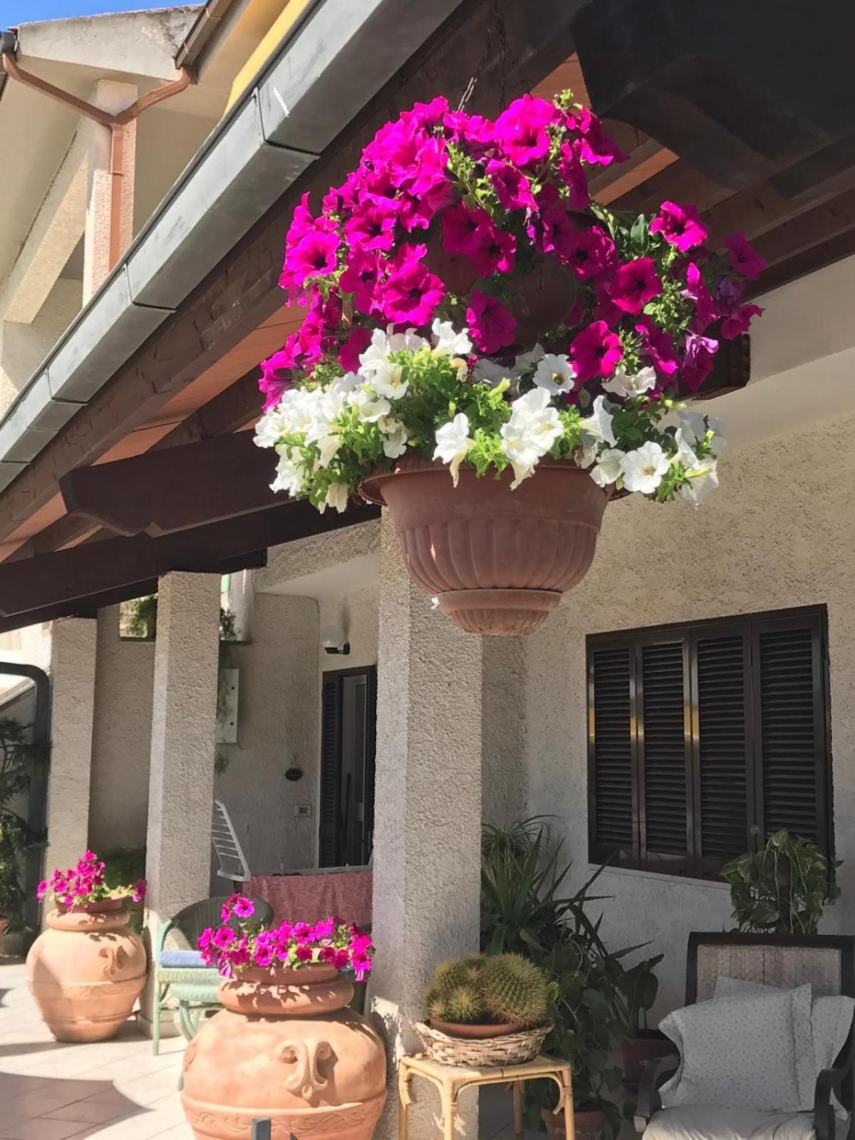 Hotel B&B Rispescia Grosseto 外观 照片