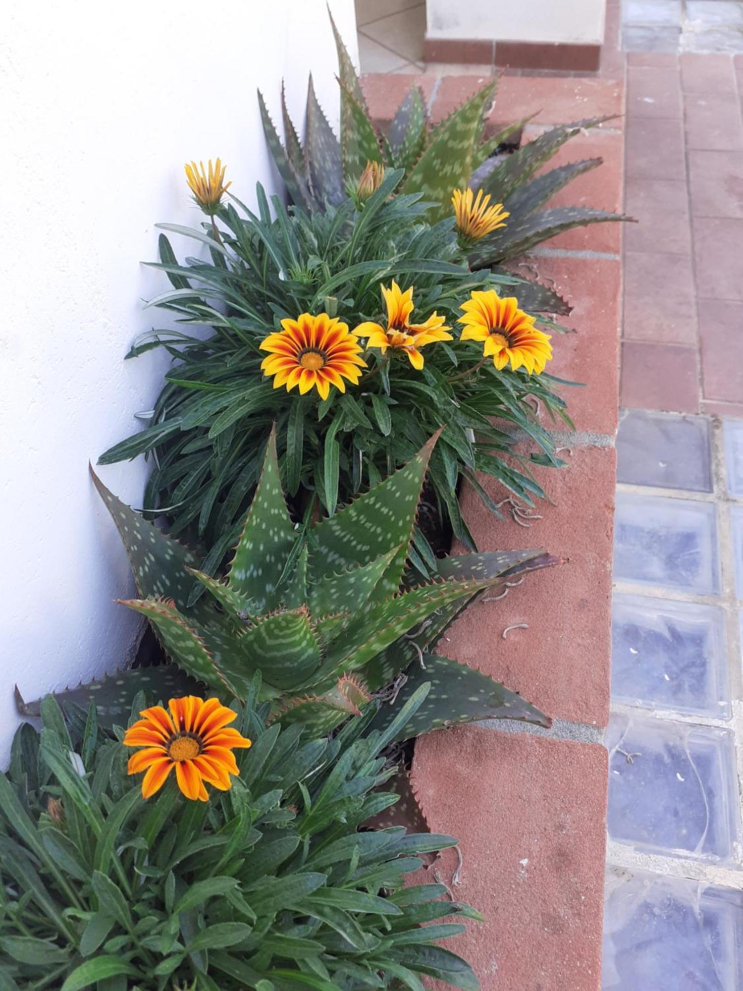 Hotel B&B Rispescia Grosseto 外观 照片