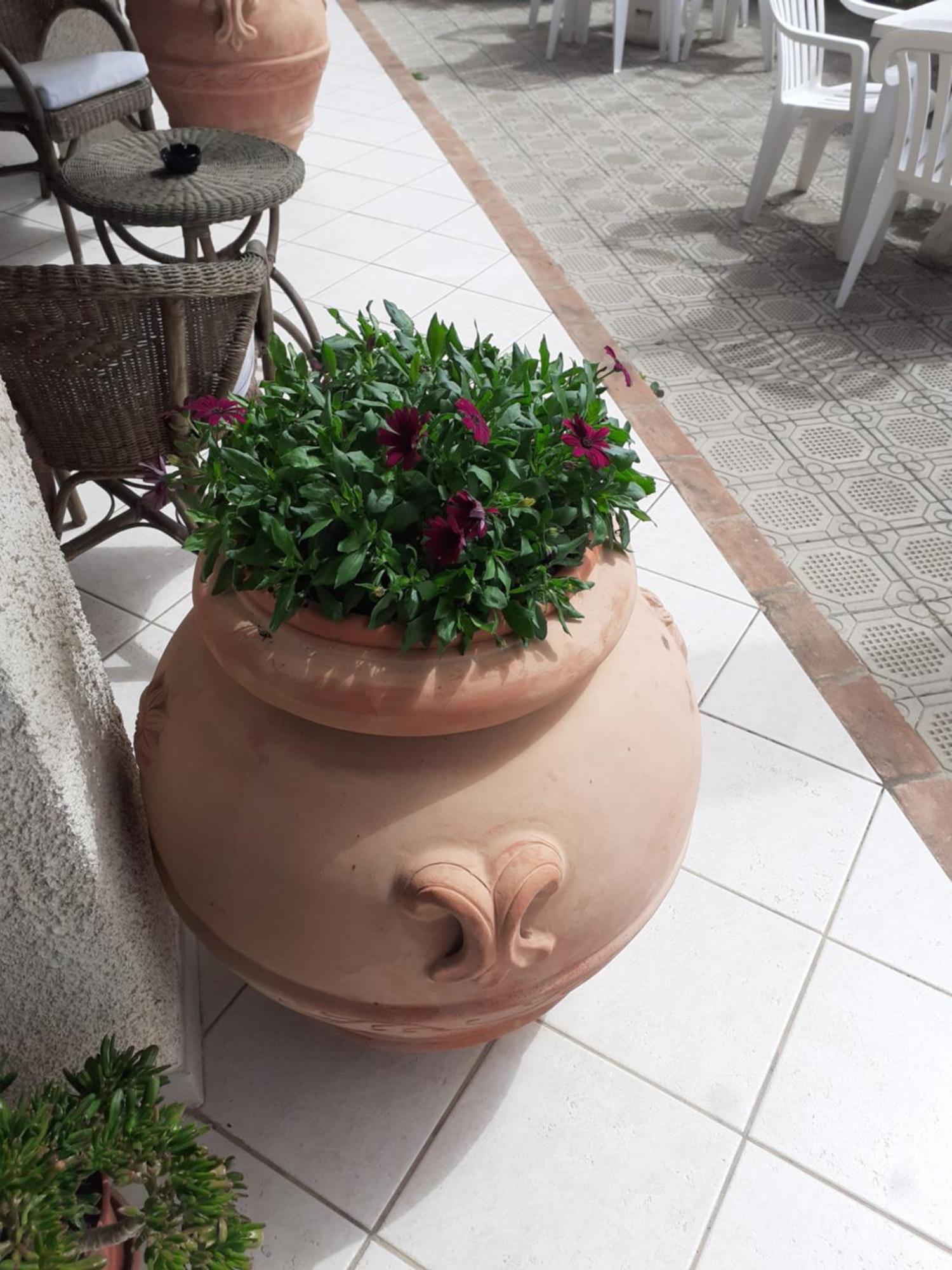Hotel B&B Rispescia Grosseto 外观 照片