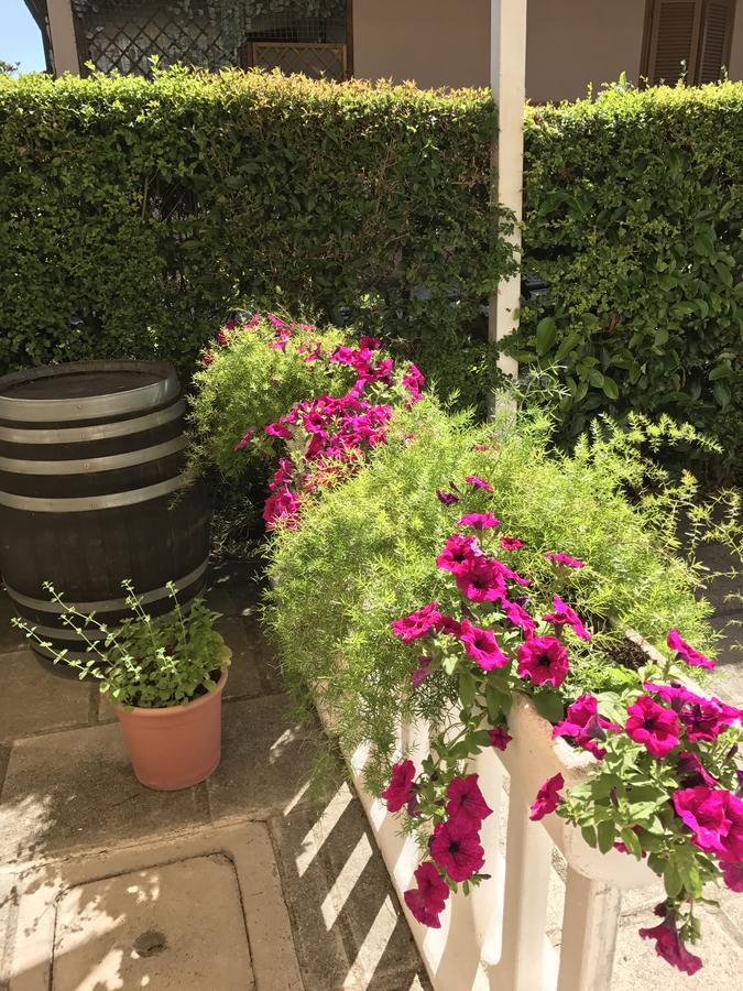 Hotel B&B Rispescia Grosseto 外观 照片