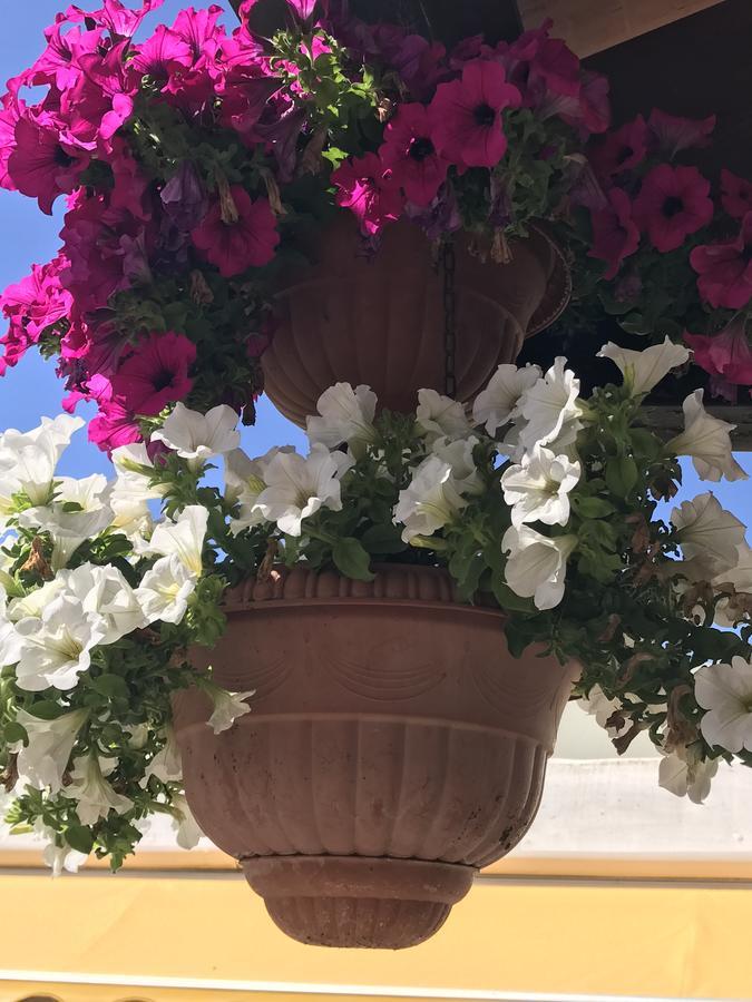 Hotel B&B Rispescia Grosseto 外观 照片
