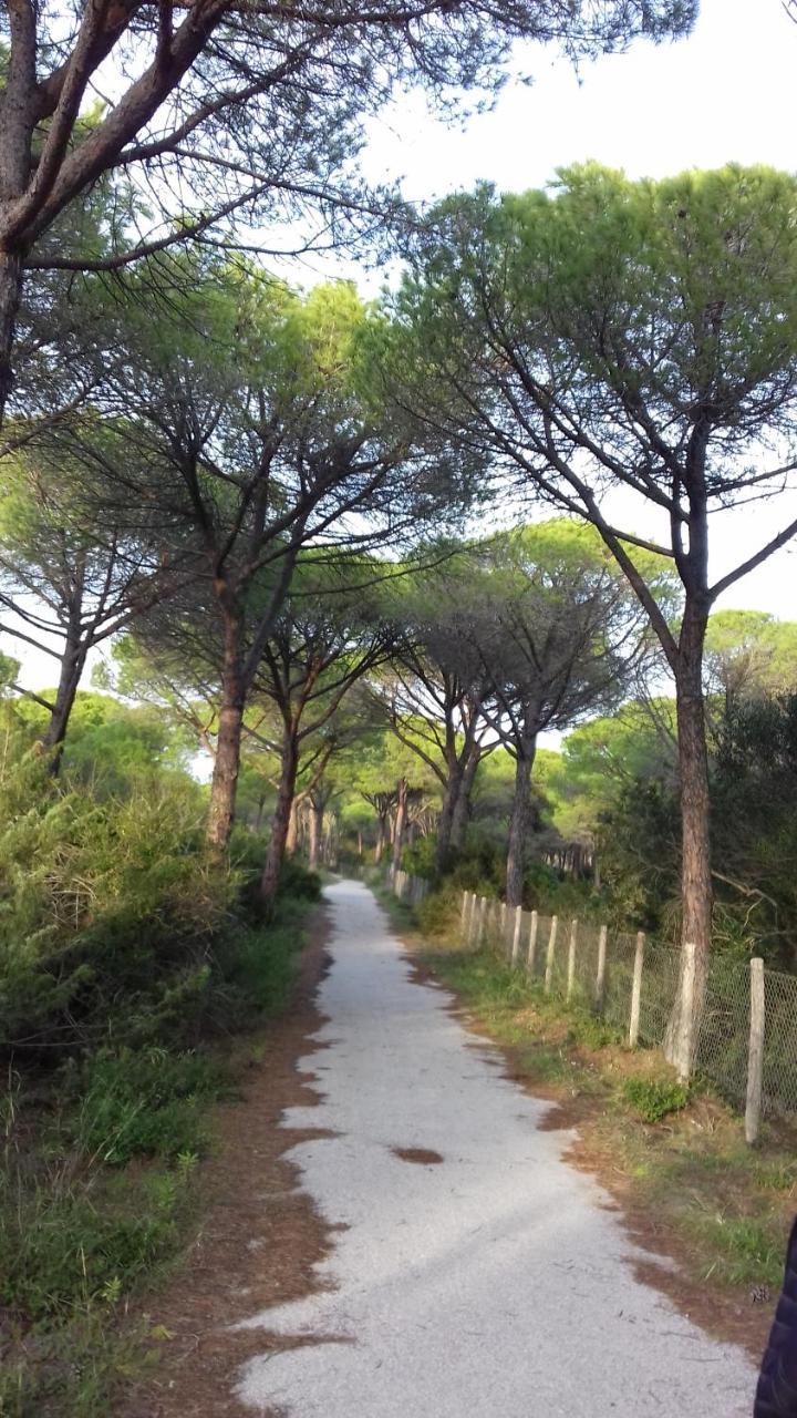 Hotel B&B Rispescia Grosseto 外观 照片